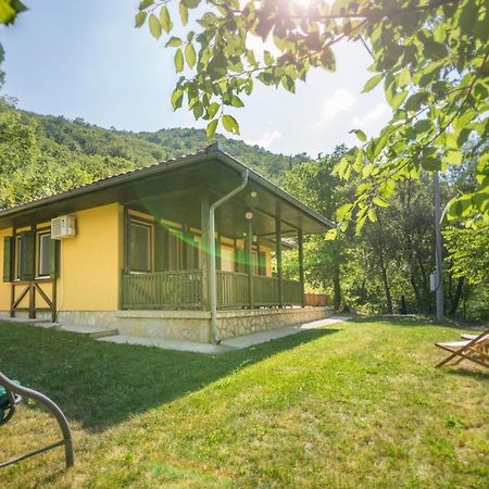 Vila Camelia Golubac Extérieur photo