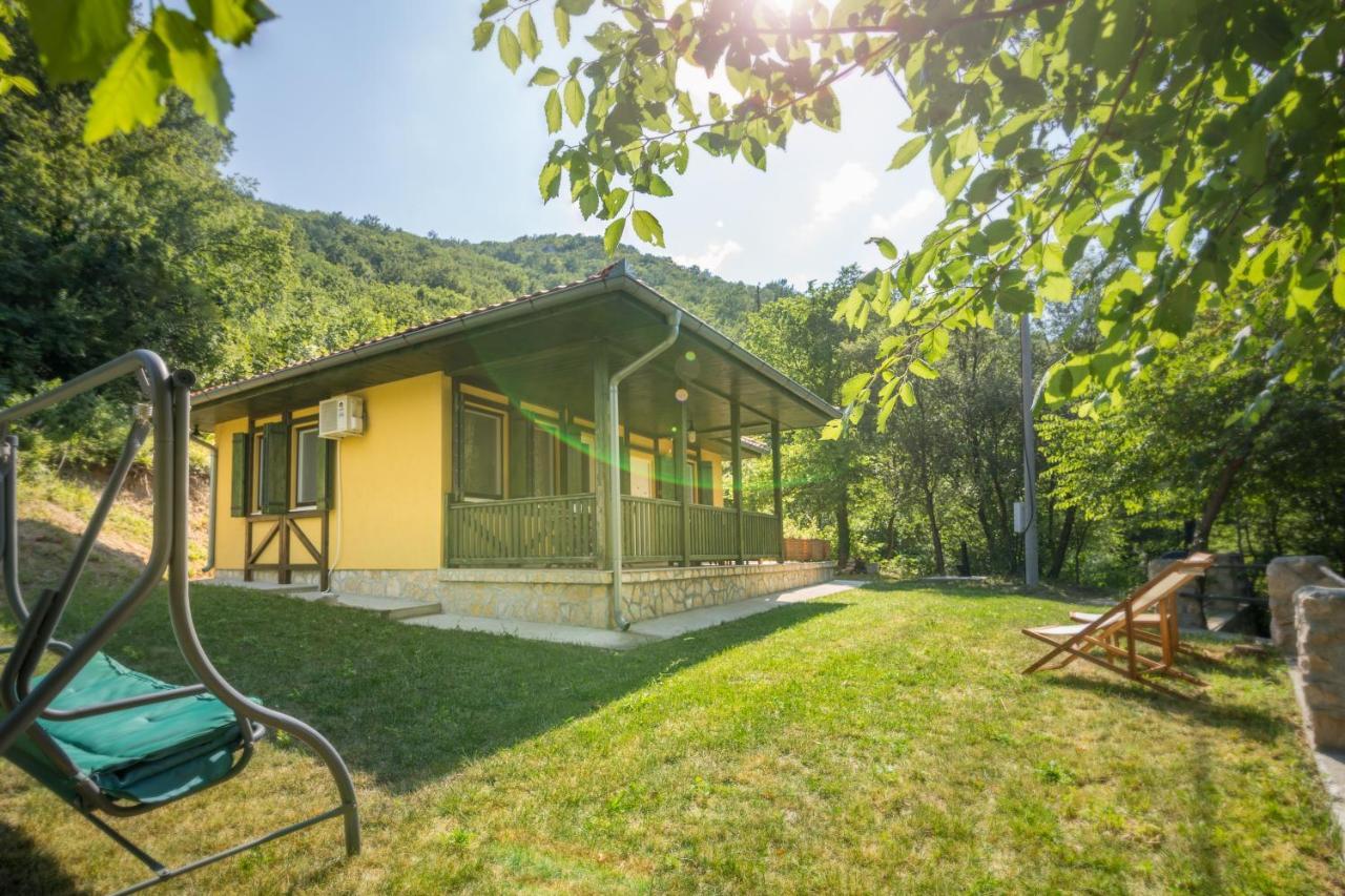 Vila Camelia Golubac Extérieur photo